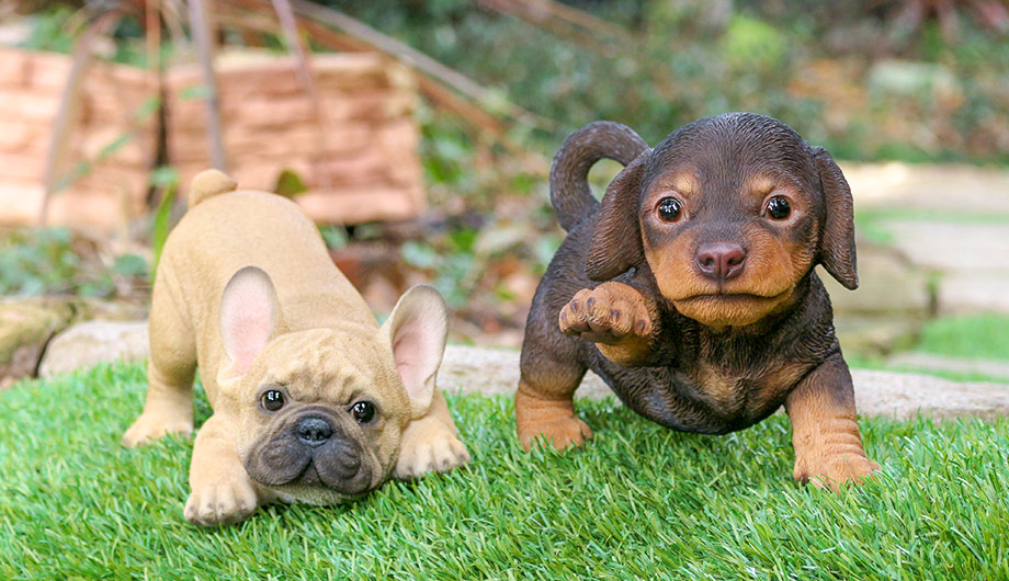 春のお庭やお家のアクセントに！ガーデンアニマル31品新入荷 - ハンズマン